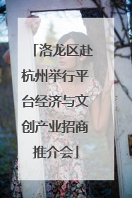 洛龙区赴杭州举行平台经济与文创产业招商推介会