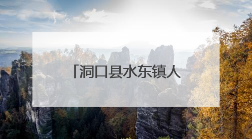 洞口县水东镇人大：“蘑菇小镇”的破局实践