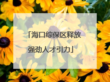 海口综保区释放强劲人才引力