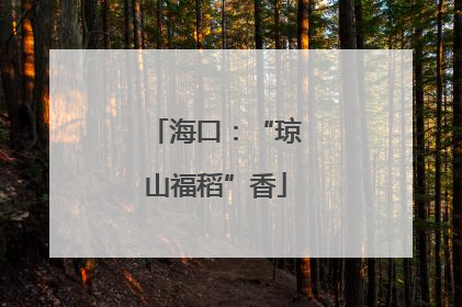 海口：“琼山福稻”香
