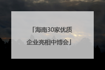 海南30家优质企业亮相中博会