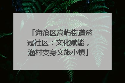 海沧区嵩屿街道鳌冠社区：文化赋能，渔村变身文旅小镇