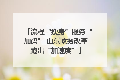 流程“瘦身”服务“加码” 山东政务改革跑出“加速度”