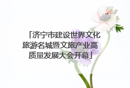 济宁市建设世界文化旅游名城暨文旅产业高质量发展大会开幕