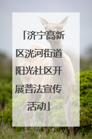 济宁高新区洸河街道阳光社区开展普法宣传活动