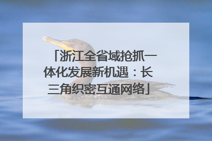 浙江全省域抢抓一体化发展新机遇：长三角织密互通网络