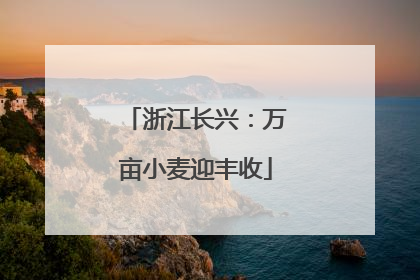浙江长兴：万亩小麦迎丰收