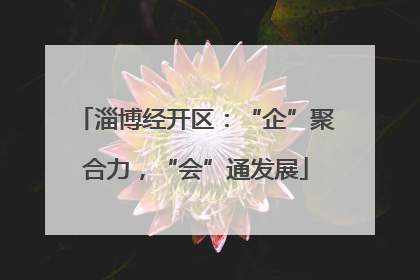 淄博经开区：“企”聚合力，“会”通发展