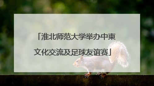 淮北师范大学举办中柬文化交流及足球友谊赛