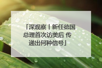 深观察丨新任德国总理首次访美后 传递出何种信号
