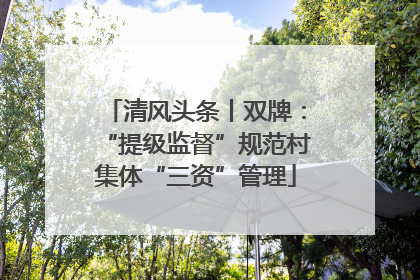 清风头条丨双牌：“提级监督”规范村集体“三资”管理