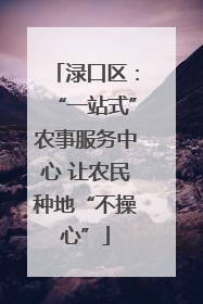 渌口区：“一站式”农事服务中心 让农民种地“不操心”