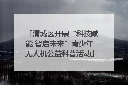 渭城区开展“科技赋能 智启未来”青少年无人机公益科普活动
