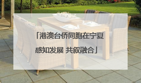 港澳台侨同胞在宁夏感知发展 共叙融合