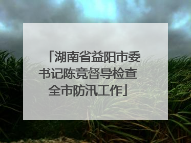 湖南省益阳市委书记陈竞督导检查全市防汛工作