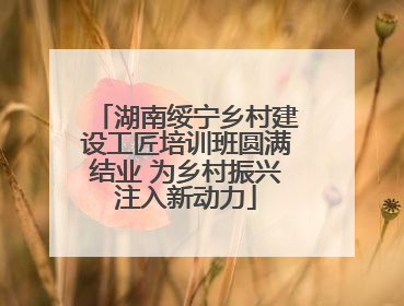 湖南绥宁乡村建设工匠培训班圆满结业 为乡村振兴注入新动力