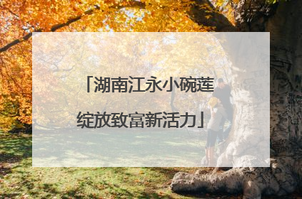 湖南江永小碗莲绽放致富新活力