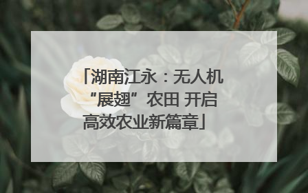 湖南江永：无人机“展翅”农田 开启高效农业新篇章