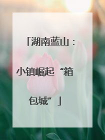 湖南蓝山：小镇崛起“箱包城”