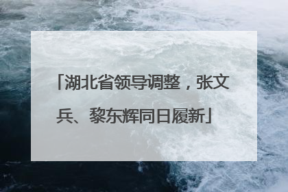 湖北省领导调整，张文兵、黎东辉同日履新