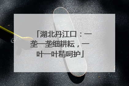 湖北丹江口：一垄一垄细耕耘，一叶一叶精呵护