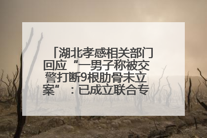 湖北孝感相关部门回应“一男子称被交警打断9根肋骨未立案”：已成立联合专班开展工作