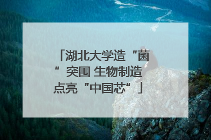湖北大学造“菌”突围 生物制造点亮“中国芯”