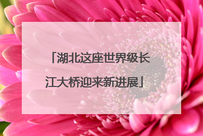 湖北这座世界级长江大桥迎来新进展