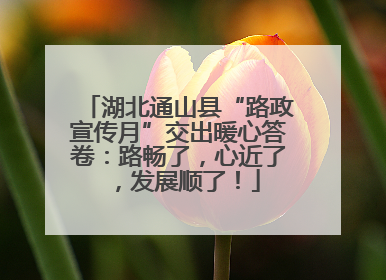 湖北通山县“路政宣传月”交出暖心答卷：路畅了，心近了，发展顺了！