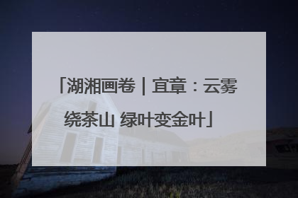 湖湘画卷｜宜章：云雾绕茶山 绿叶变金叶