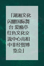 湖湘文化闪耀国际舞台 爱晚亭红色文化交流中心亮相中非经贸博览会