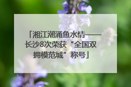 湘江潮涌鱼水情——长沙8次荣获“全国双拥模范城”称号