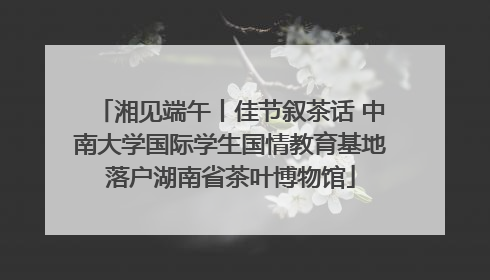湘见端午丨佳节叙茶话 中南大学国际学生国情教育基地落户湖南省茶叶博物馆