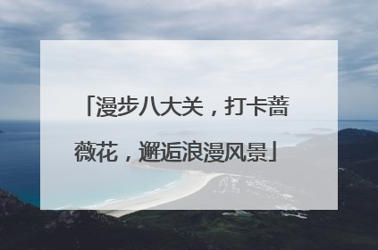 漫步八大关，打卡蔷薇花，邂逅浪漫风景