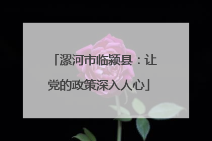 漯河市临颍县：让党的政策深入人心