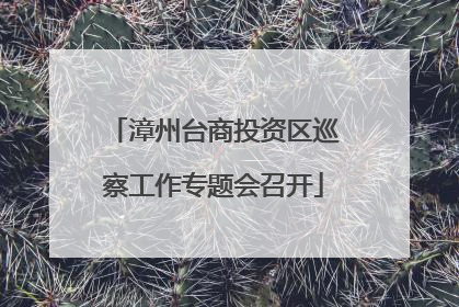 漳州台商投资区巡察工作专题会召开