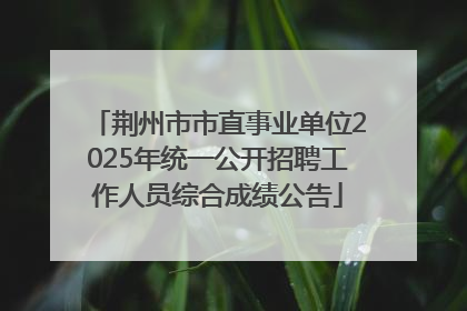 荆州市市直事业单位2025年统一公开招聘工作人员综合成绩公告