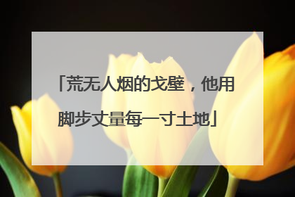 荒无人烟的戈壁，他用脚步丈量每一寸土地