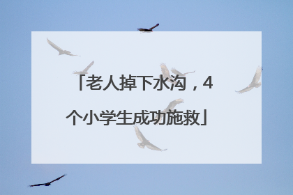 老人掉下水沟，4个小学生成功施救