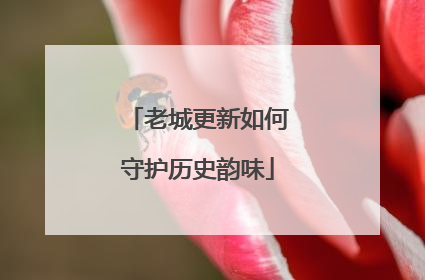 老城更新如何守护历史韵味