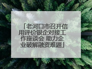 老河口市召开信用评价银企对接工作座谈会 助力企业破解融资难题
