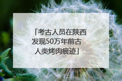 考古人员在陕西发现50万年前古人类烤肉痕迹