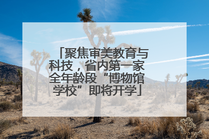 聚焦审美教育与科技，省内第一家全年龄段“博物馆学校”即将开学