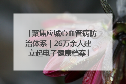 聚焦应城心血管病防治体系｜26万余人建立起电子健康档案