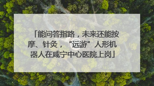 能问答指路，未来还能按摩、针灸，“远游”人形机器人在咸宁中心医院上岗