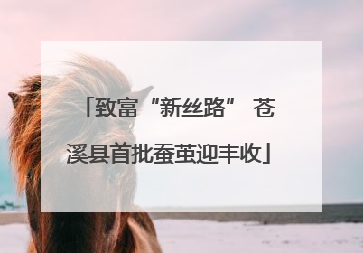 致富“新丝路” 苍溪县首批蚕茧迎丰收