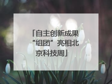 自主创新成果“组团”亮相北京科技周
