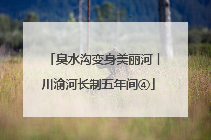 臭水沟变身美丽河丨川渝河长制五年间④