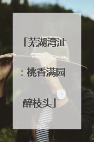 芜湖湾沚：桃香满园醉枝头