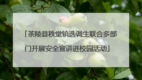 茶陵县秩堂镇选调生联合多部门开展安全宣讲进校园活动